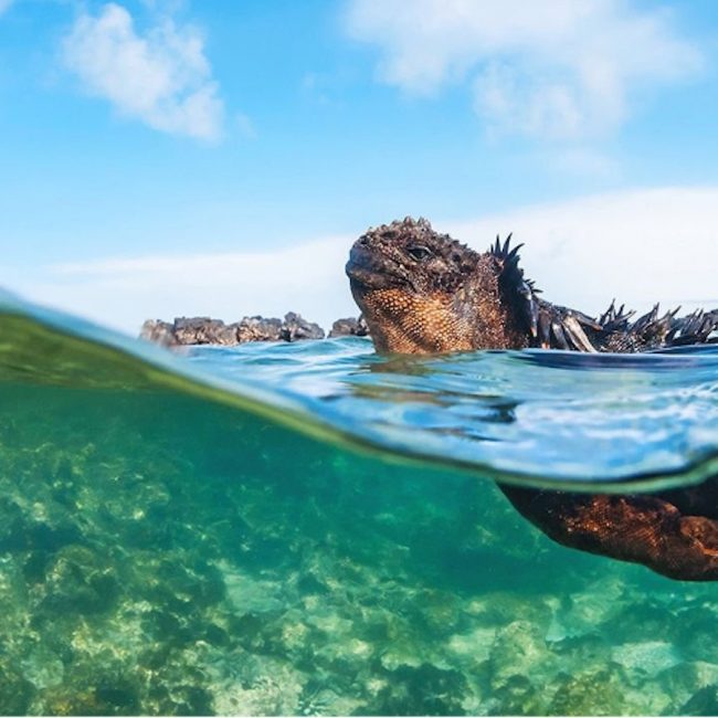 Ecuador’s president is expanding the Galapagos islands reserve